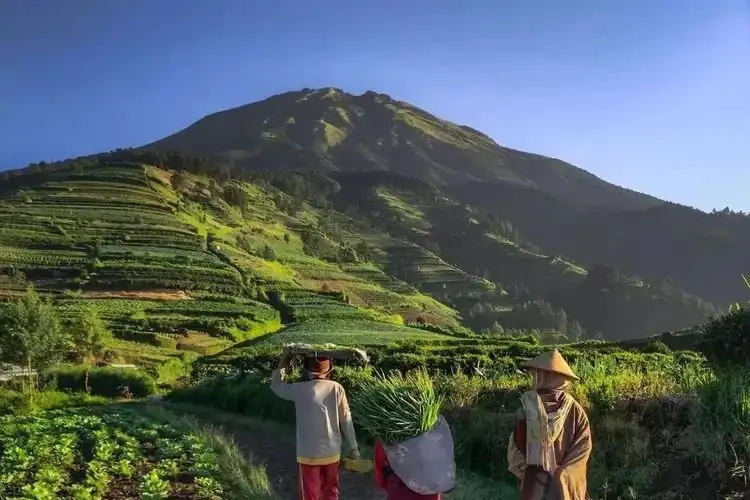 Pemandangan Mungkid Magelang